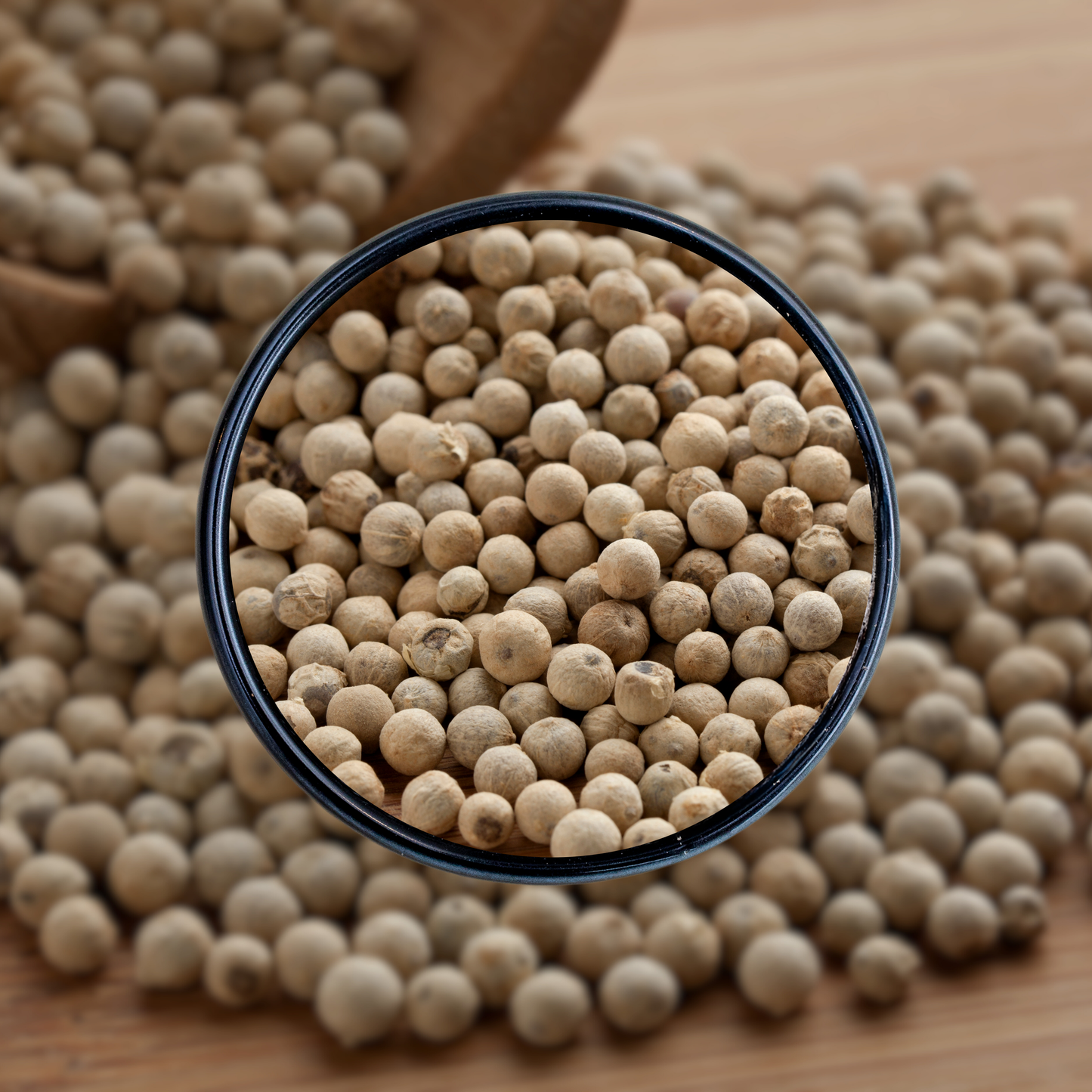 White Pepper (سفید مرچ) – Mild, Earthy, Pungent