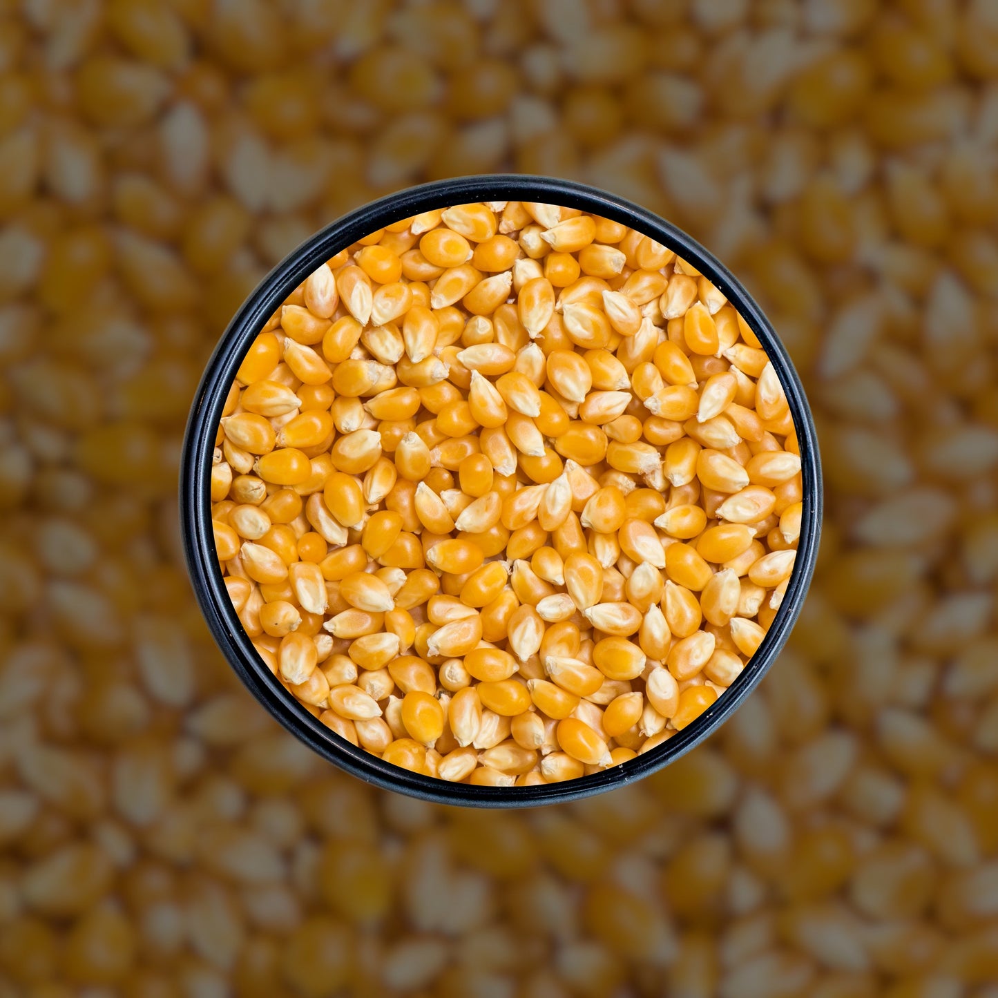 Popcorn (پاپکارن)