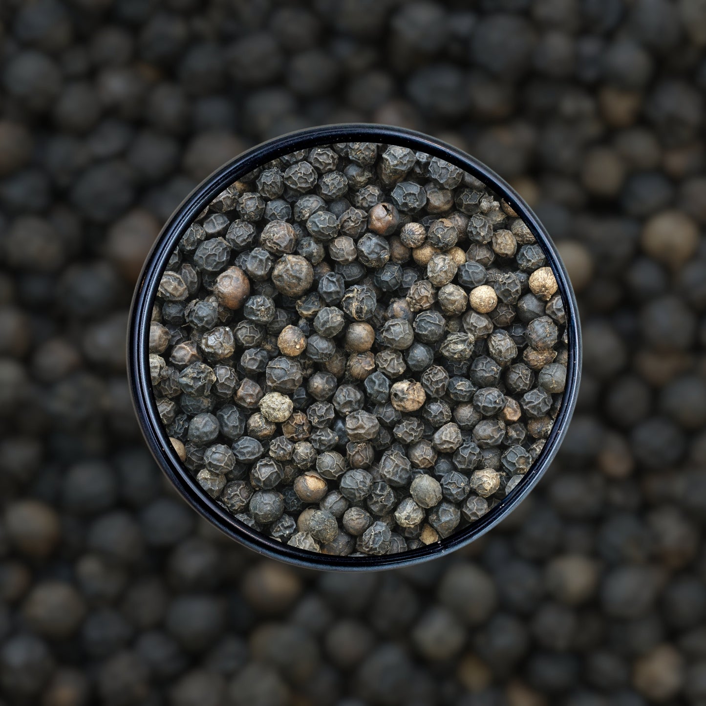 Black Pepper (کالی مرچ)