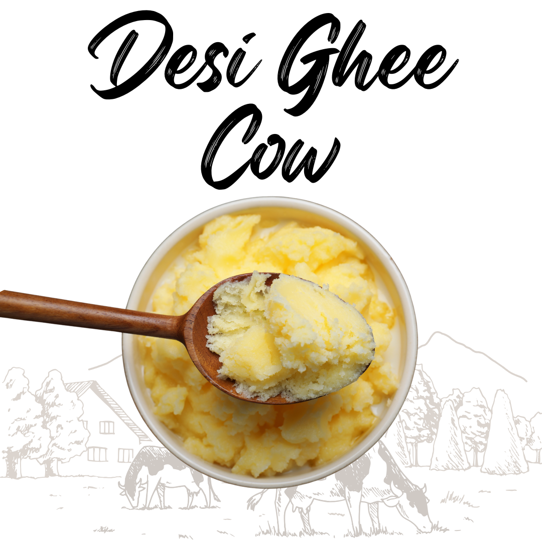 Cow Desi Ghee (خالص گائے کا دیسی گھی)