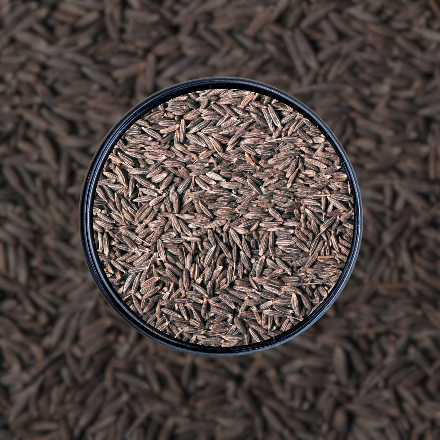 Black Zeera (کالا زیرہ)